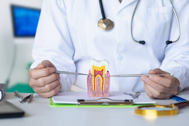 Best Emergency Dentist for Knocked-Out Tooth in Farragut, TN
